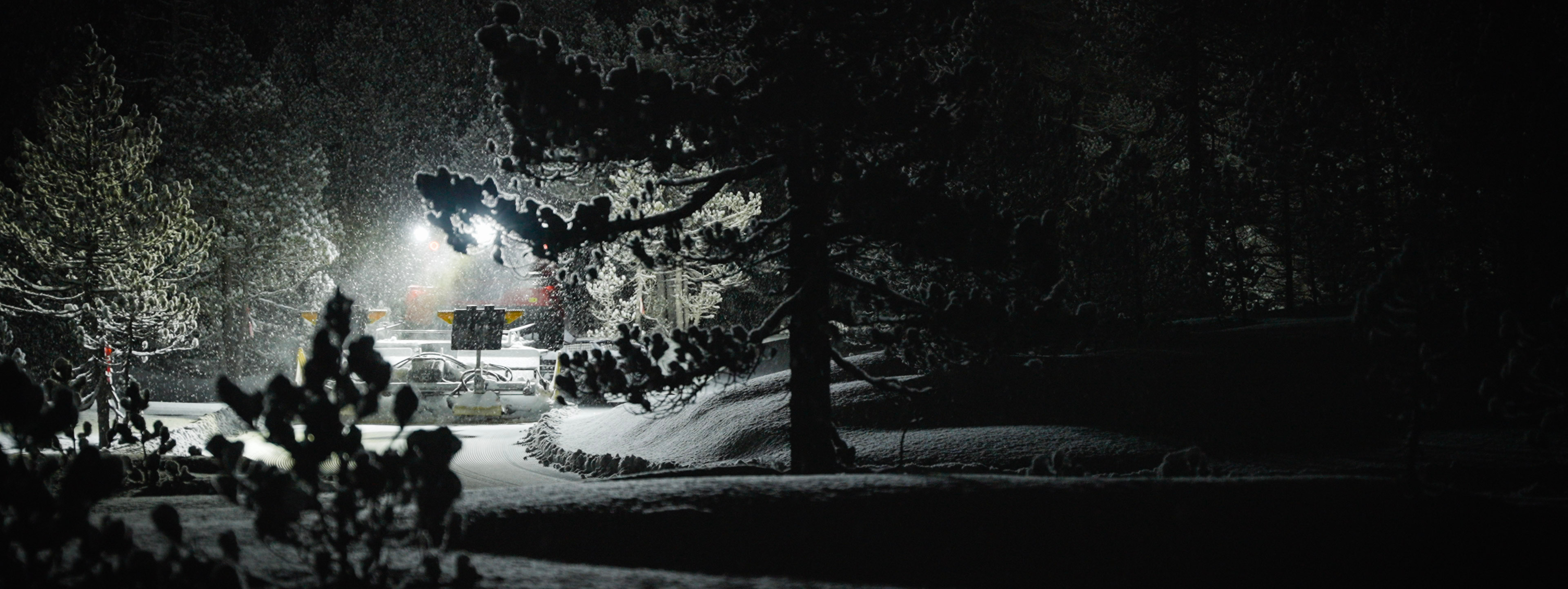 Wo die Stille die Spur zeichnet