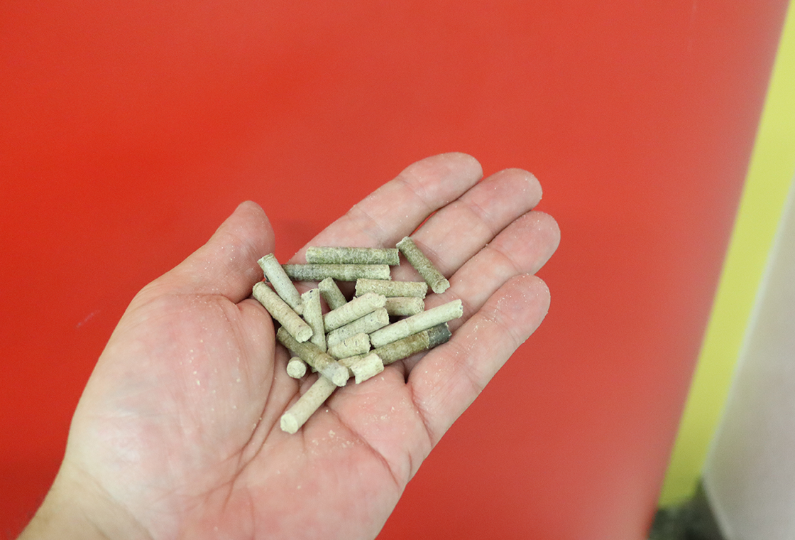 Pellets.png