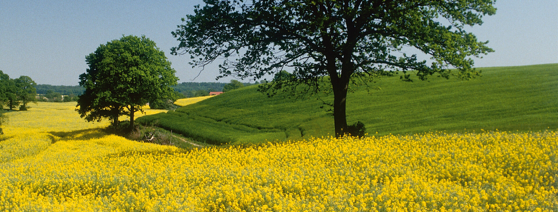环境和可持续性