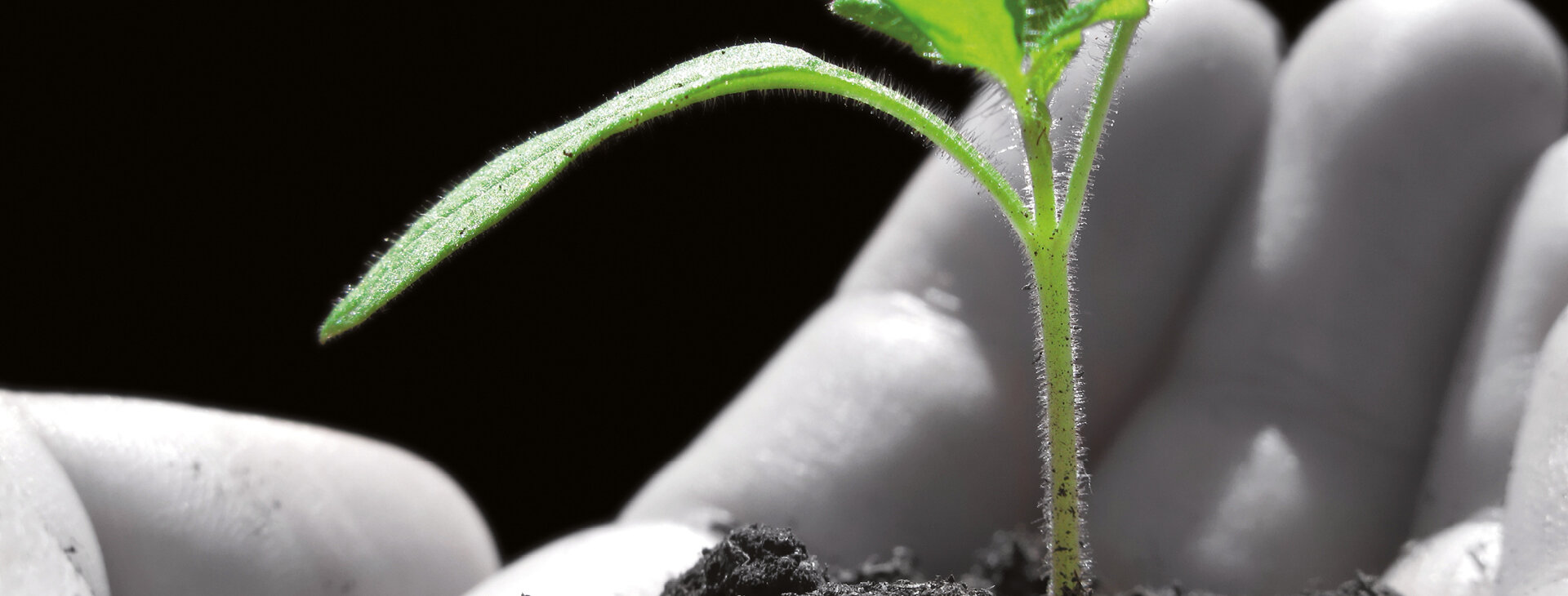 Bucher Industries – Sustainability Report